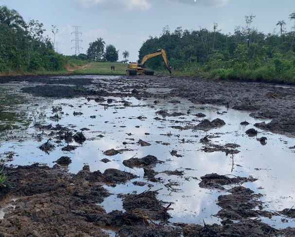 Soil Remediation